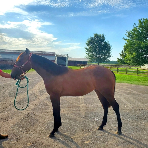 Meet your Posher, Craig - Picture 6 of 6